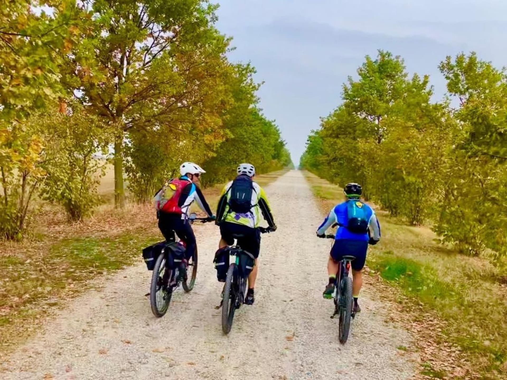 Oltrepo Pavese and Lombardy's Wine Country Bike Tour