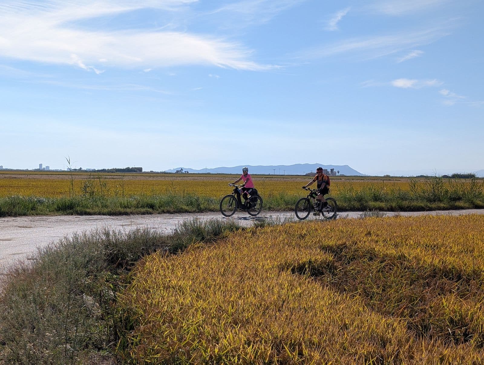 Albufera & Orange Country
