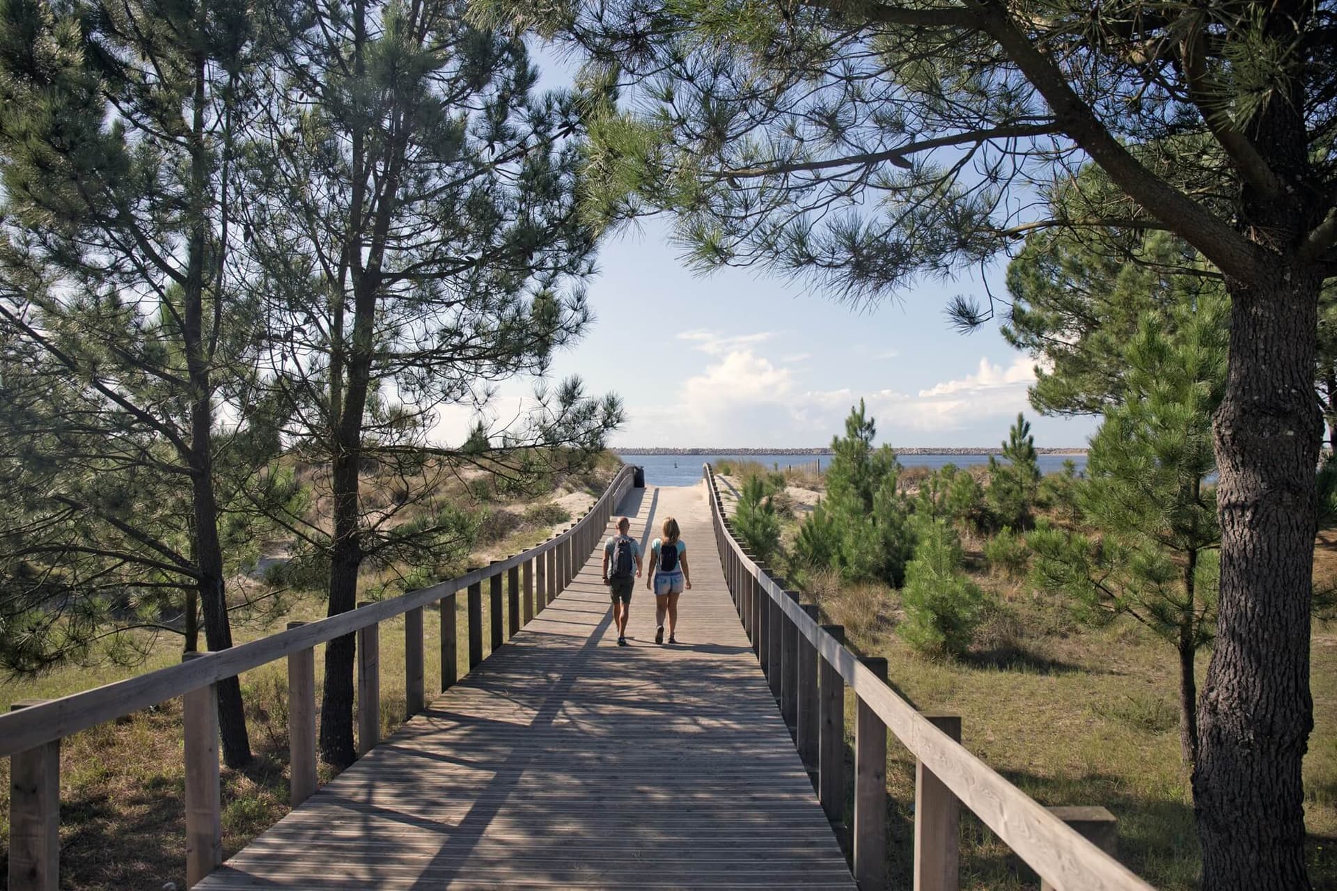 Coastal Walks through Portugal’s Wild North