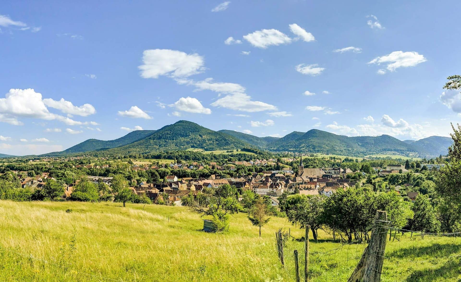 Boutique bike tours in Alsace
