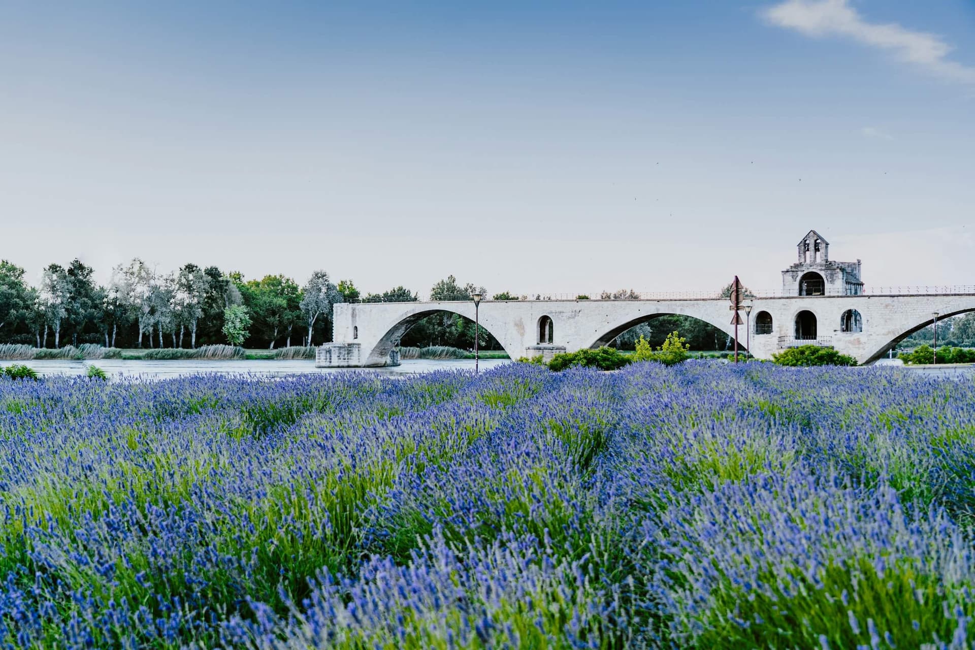 Explore Avignon