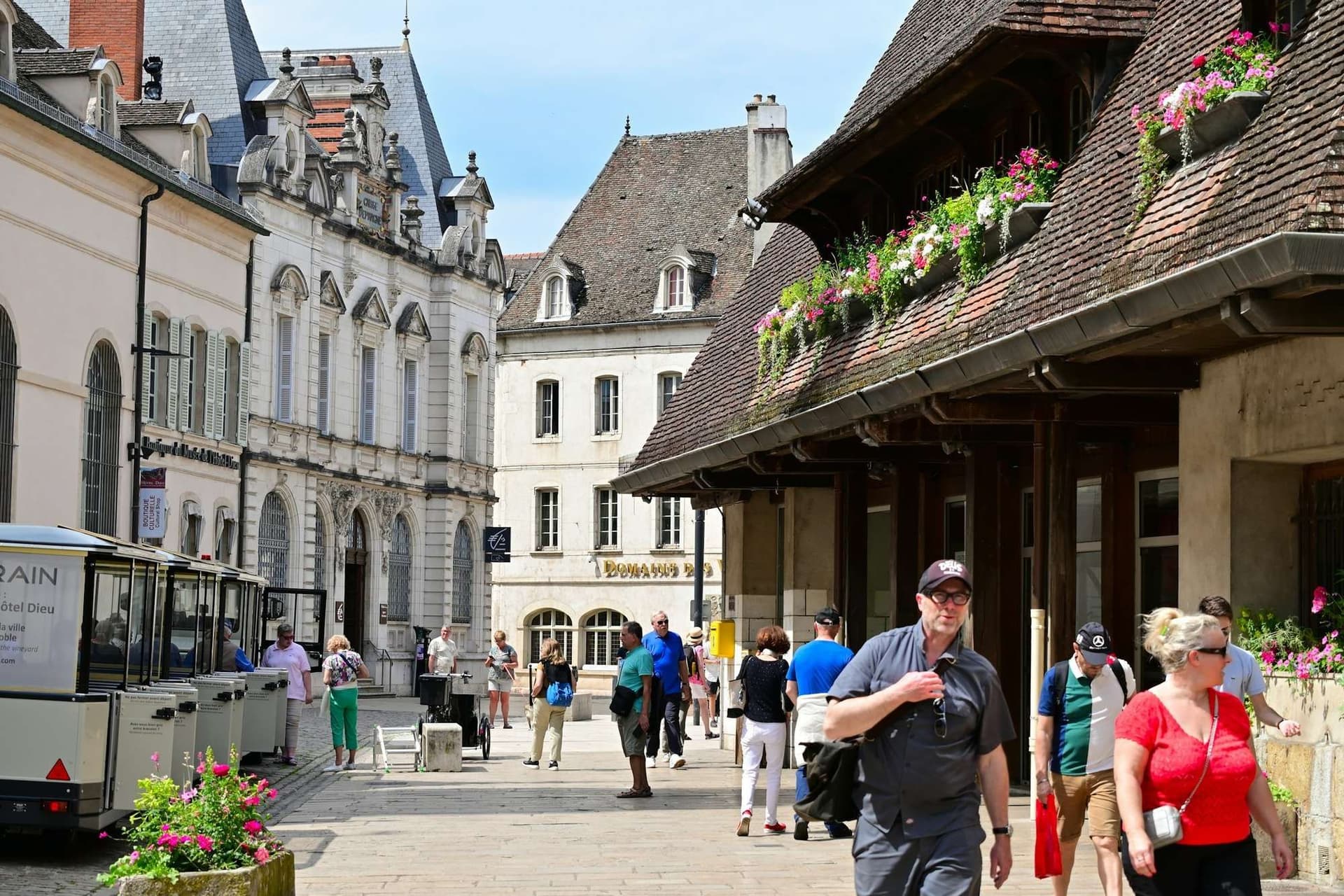 World-Class Wine Regions