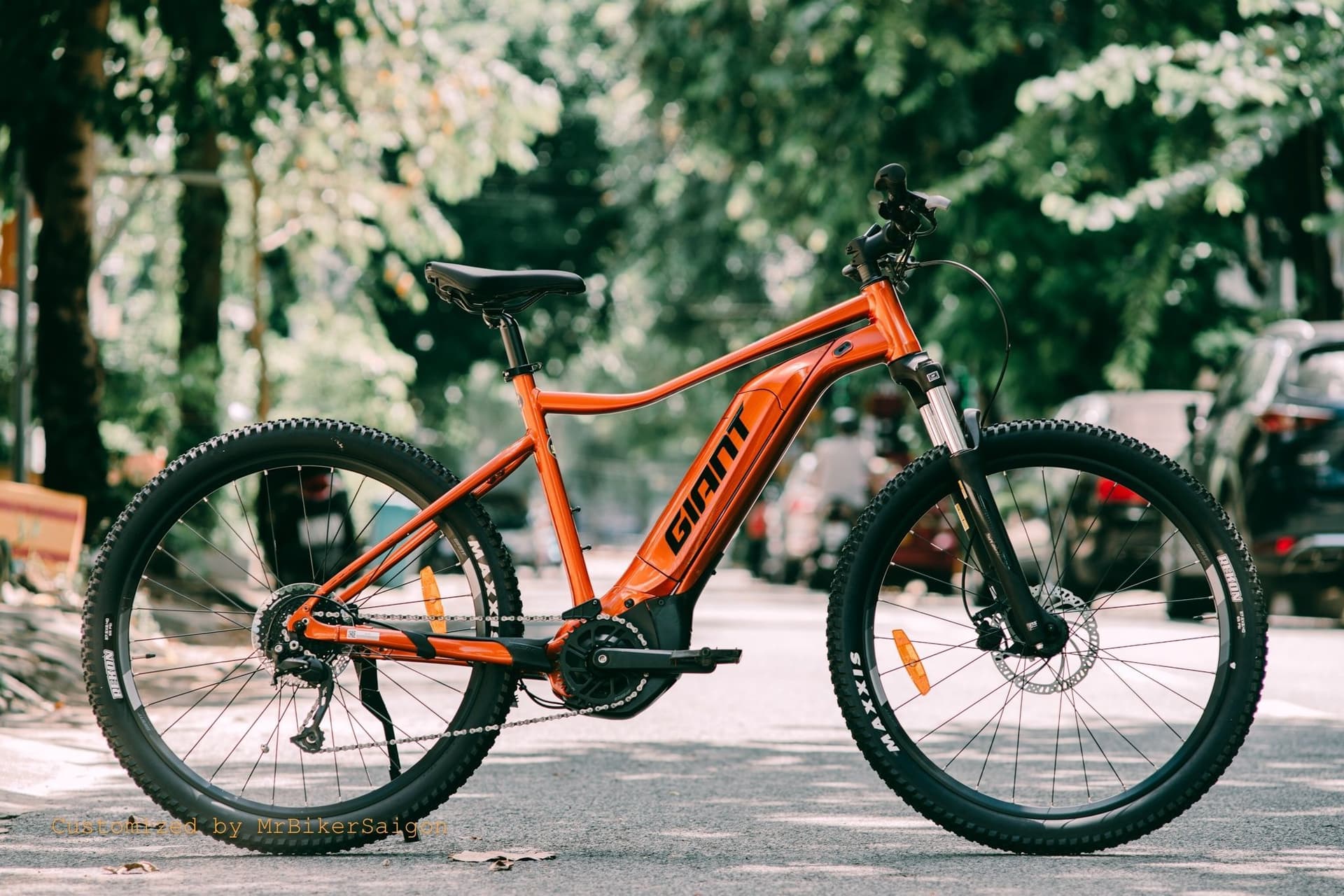 Giant E+ Fathom