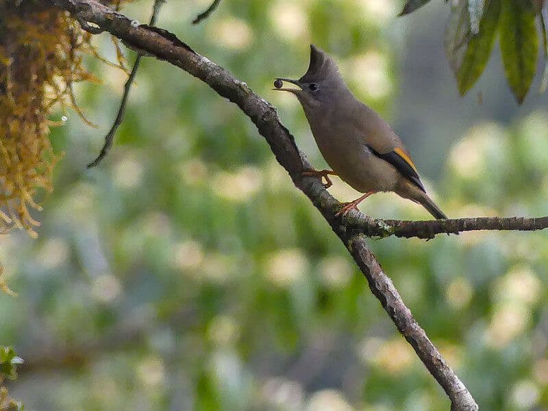Tour photo