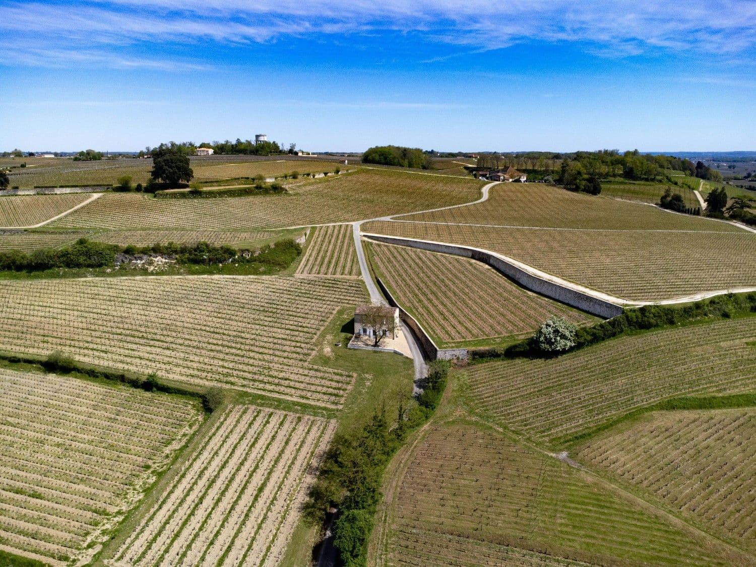 Ride Through Legendary Wine Regions such as Medoc and Cadillac