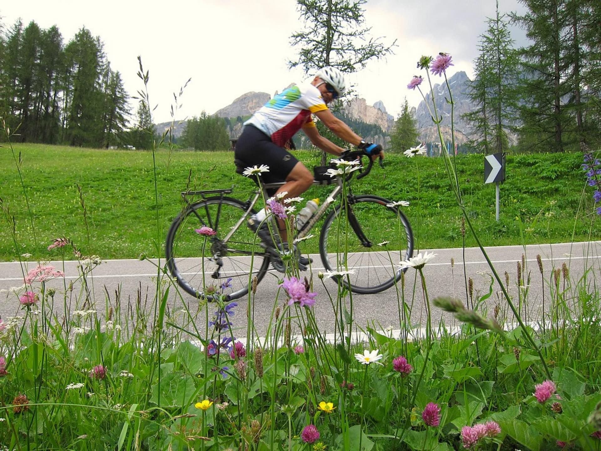 Wine Region and Alpine Gastronomy