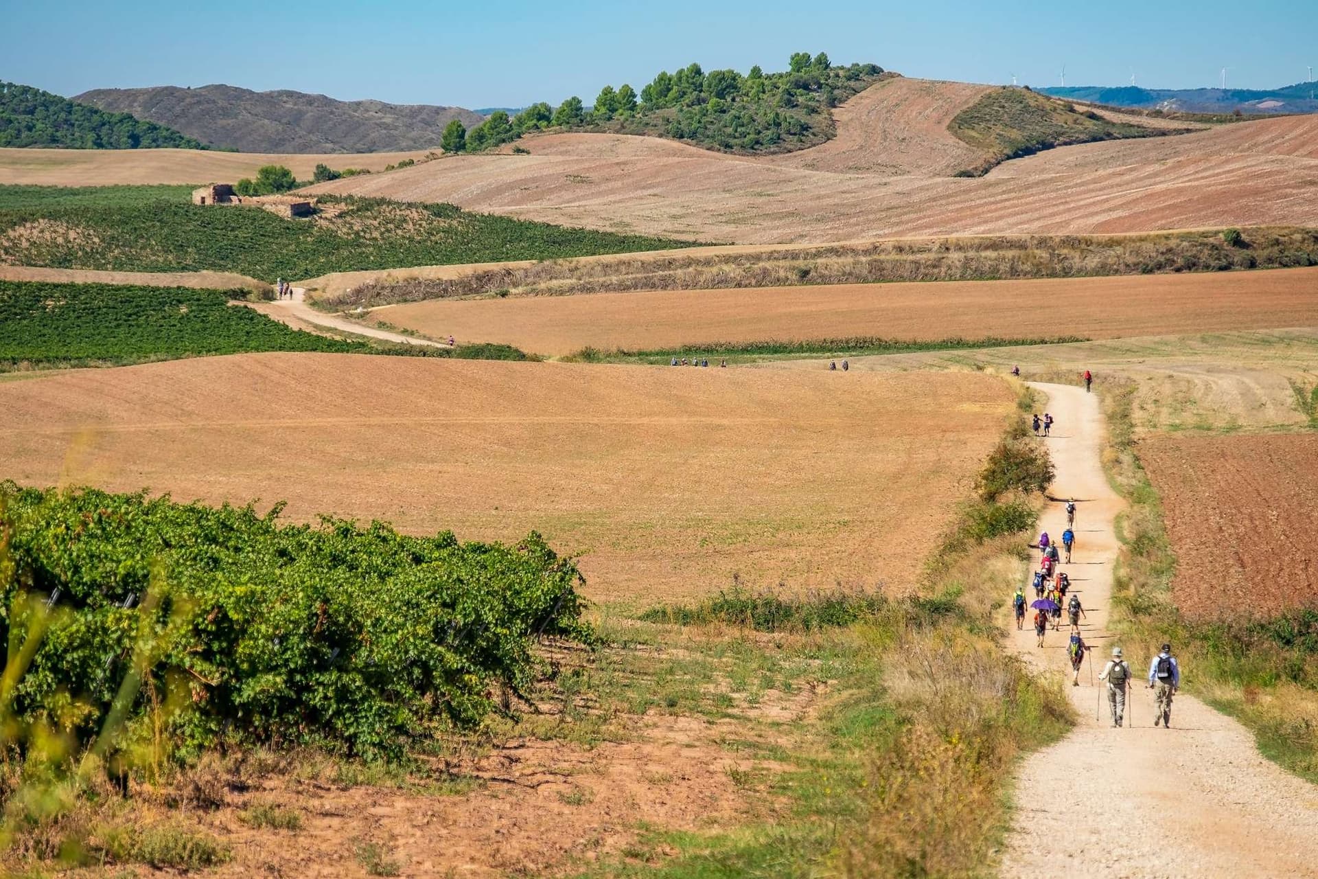 Crossing into Spain on the Camino