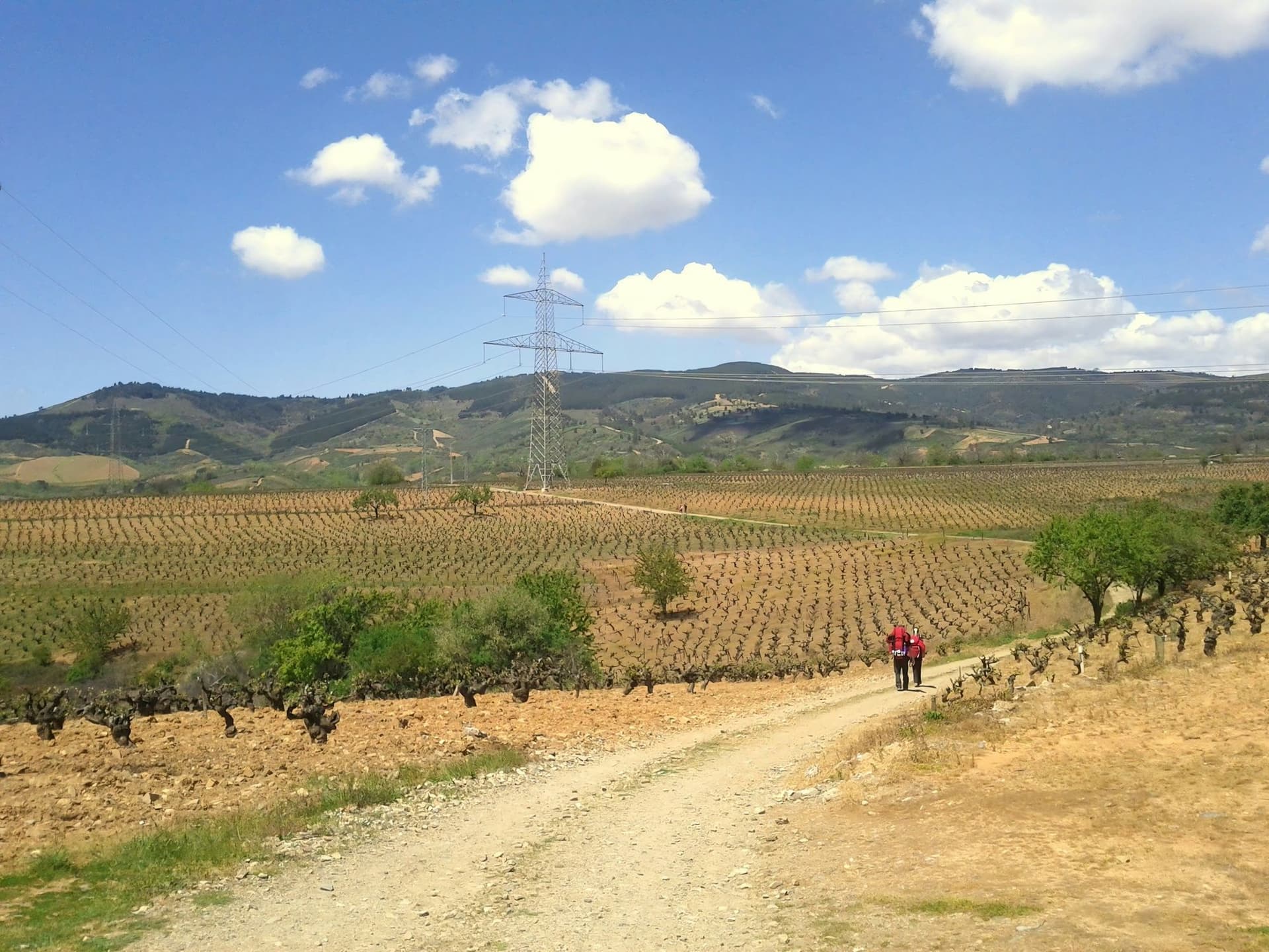 Exploring Camino from Valenca to Santiago Hiking Tour 