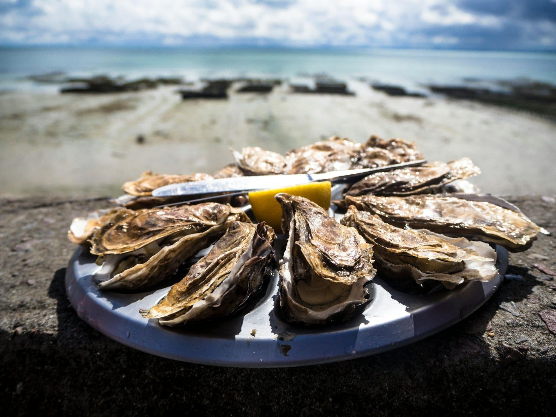 Cancale Oyster Coast