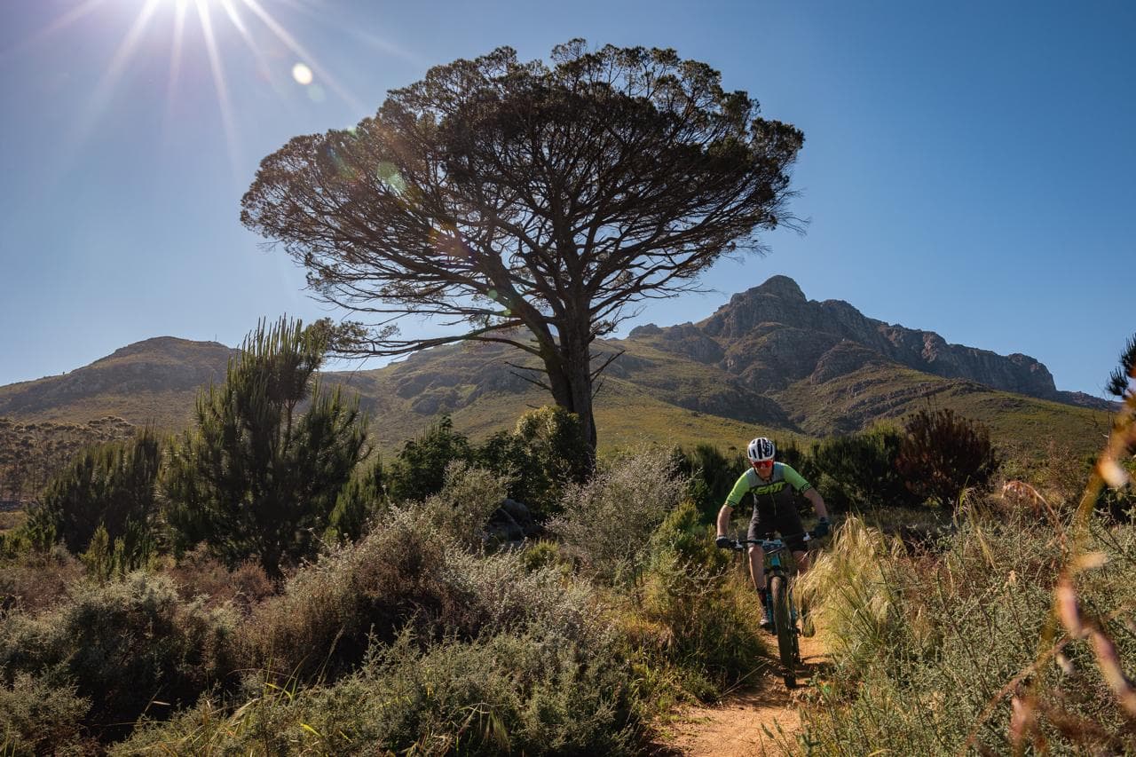 Exclusive Safari Cycling