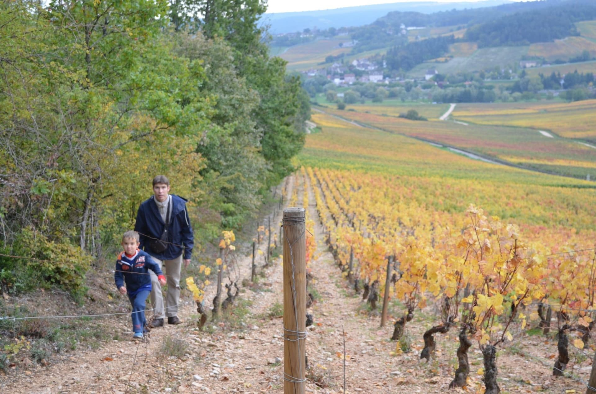  Dijon to Meursault Burgundy Wine Trails Hiking and Walking Tour
