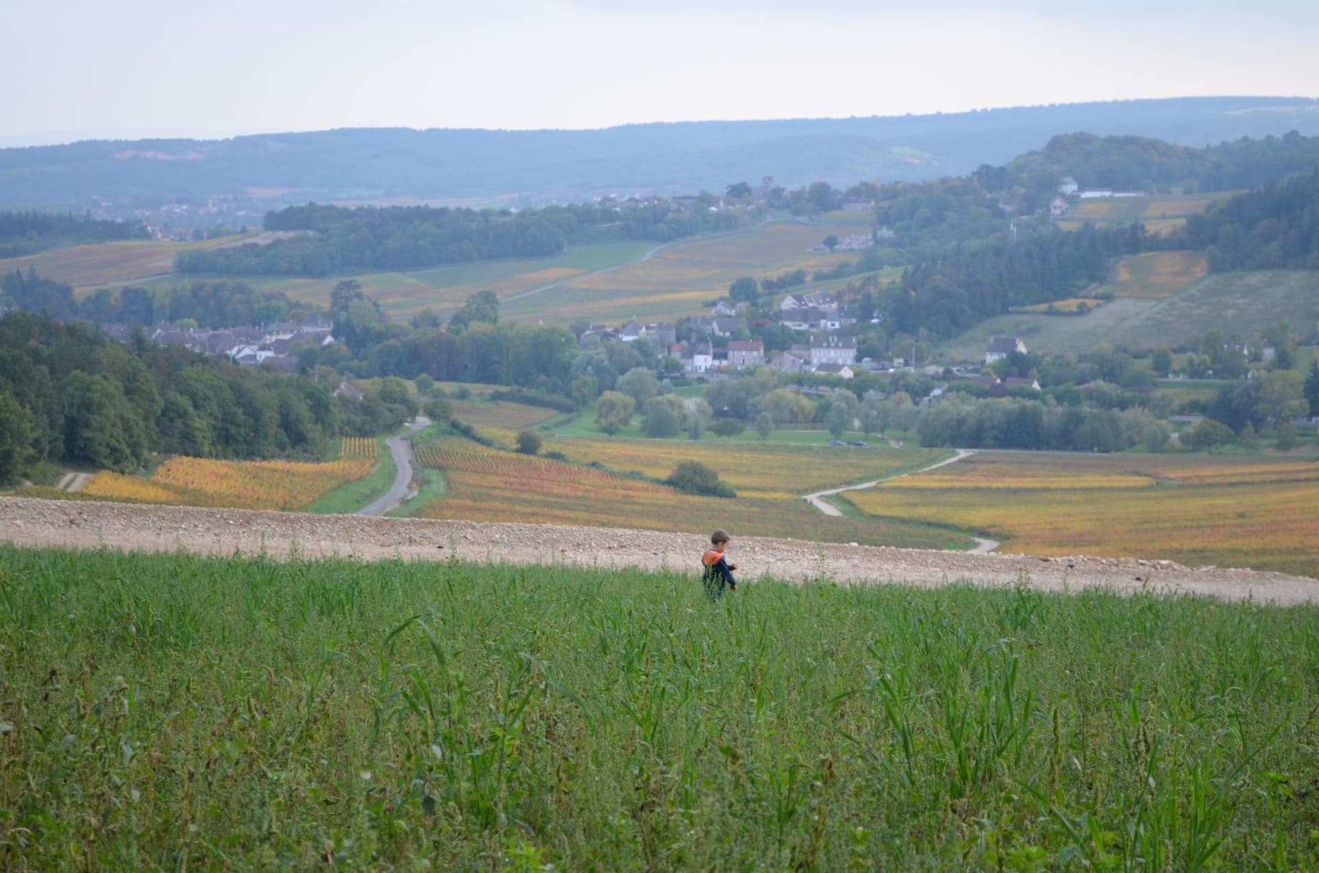 Scenic Countryside Trails