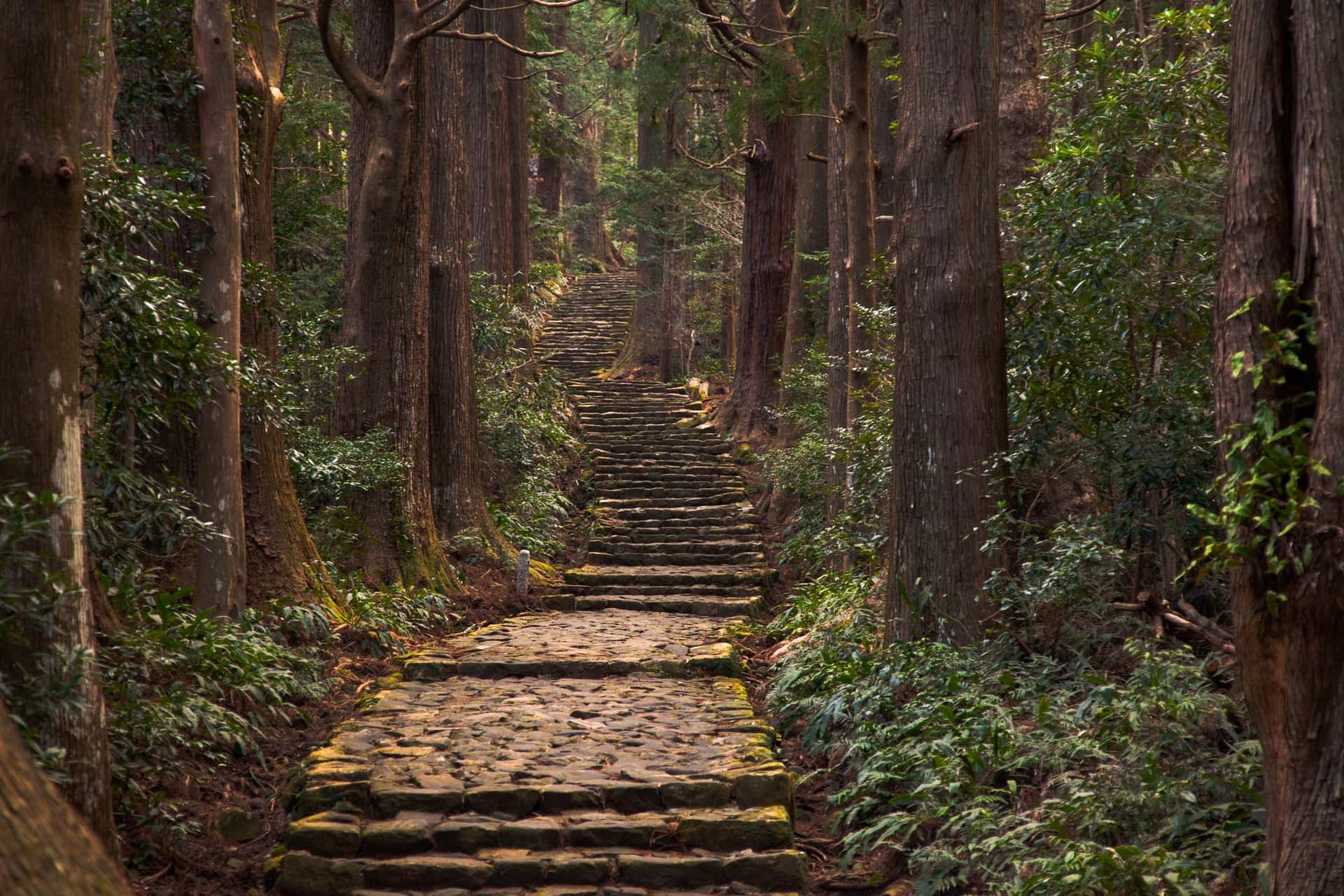 Walk the Legendary Kumano Kodo