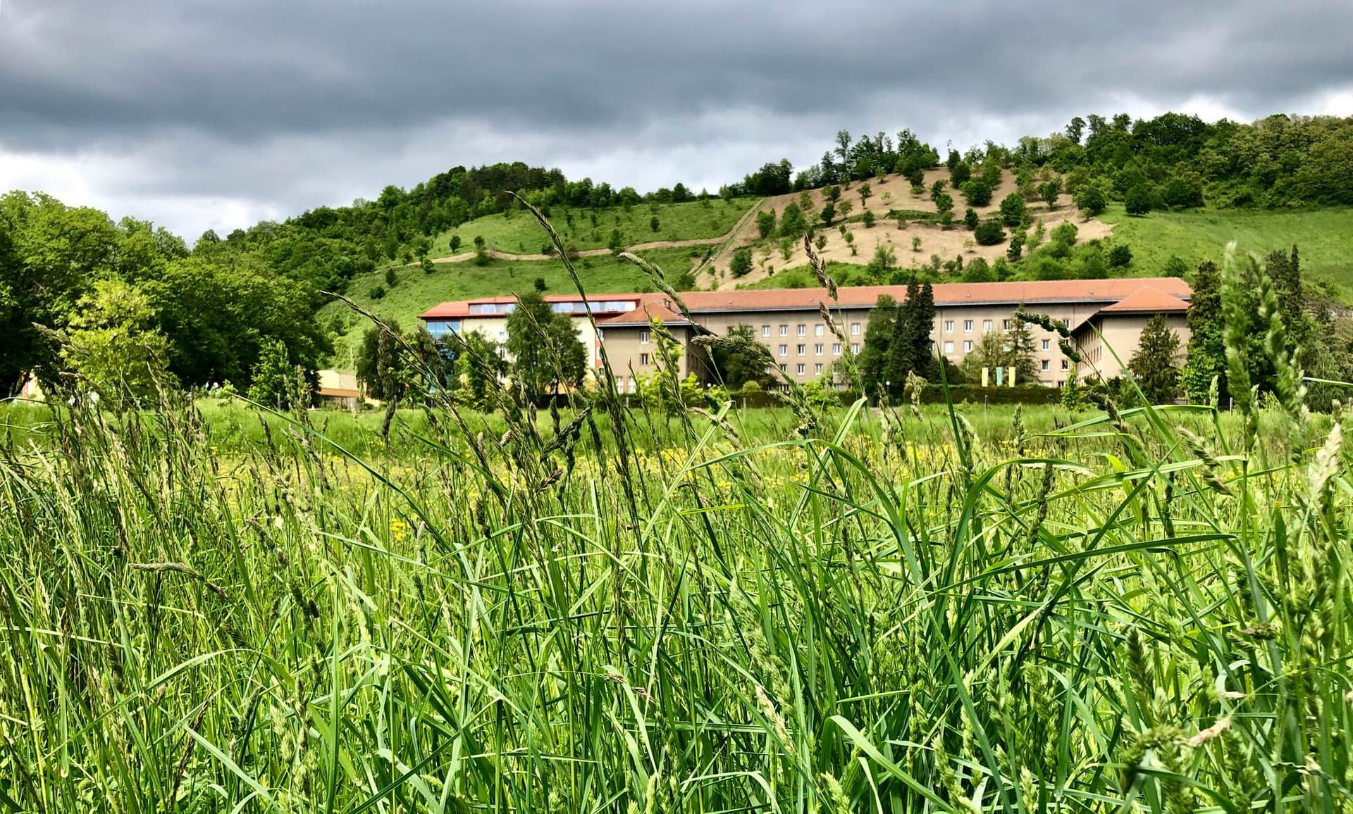 Picture for The Complete Guide to Cycling Provence article