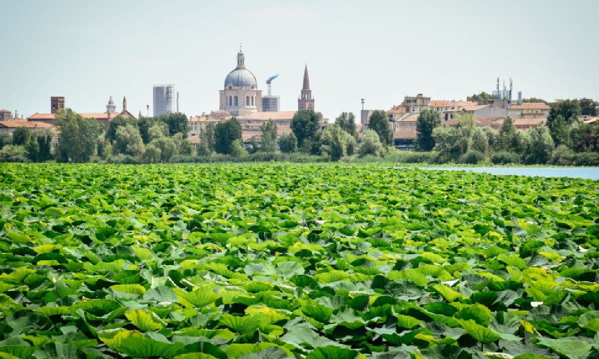 Po Delta Wetlands