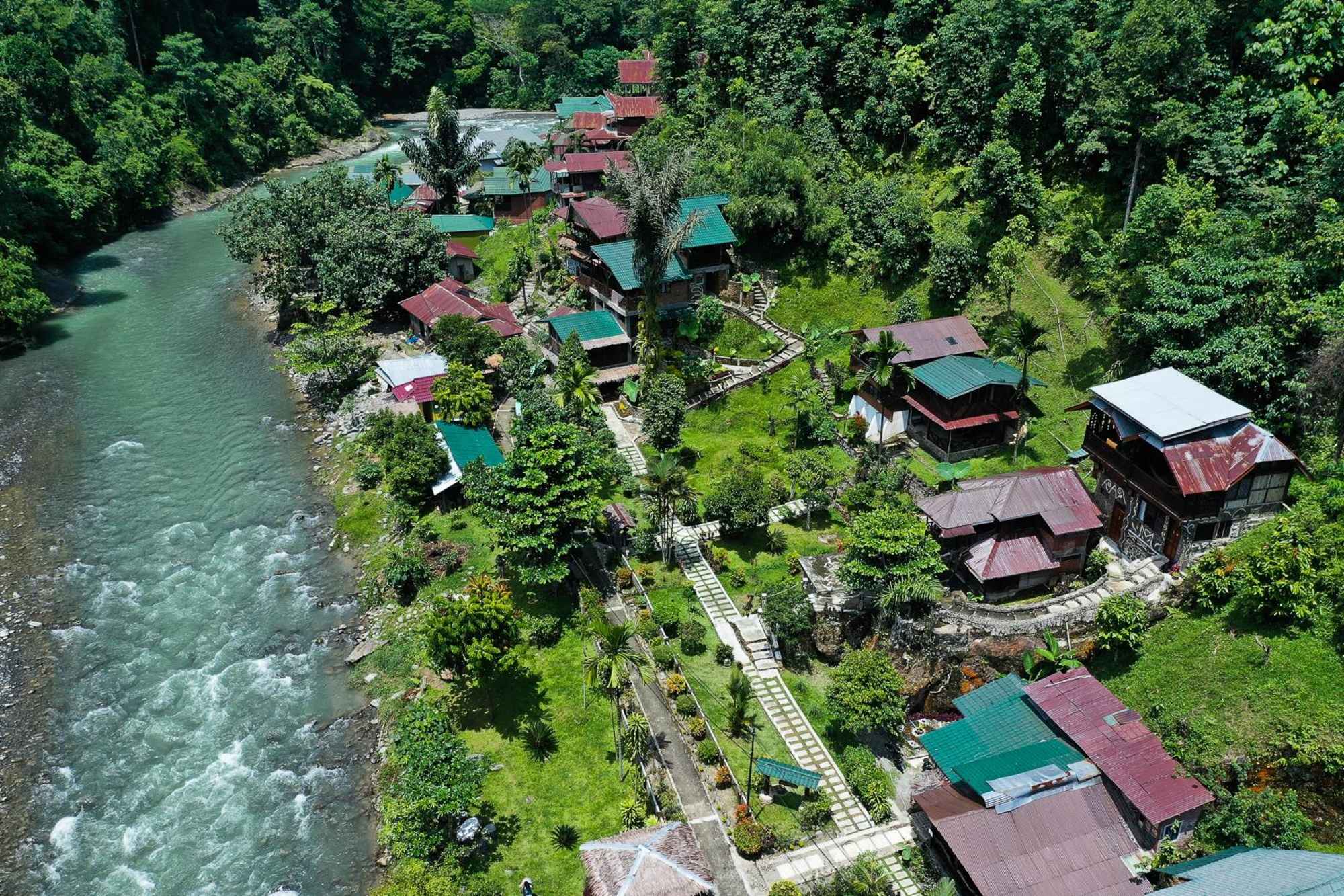 Eco Lodge Bukit Lawang