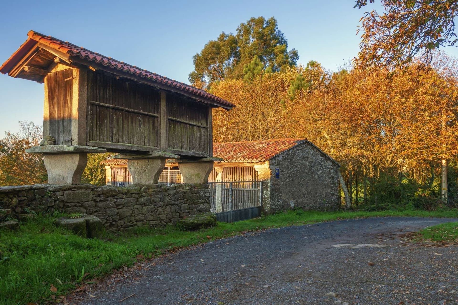 Food, Wine, and Coastal Culture