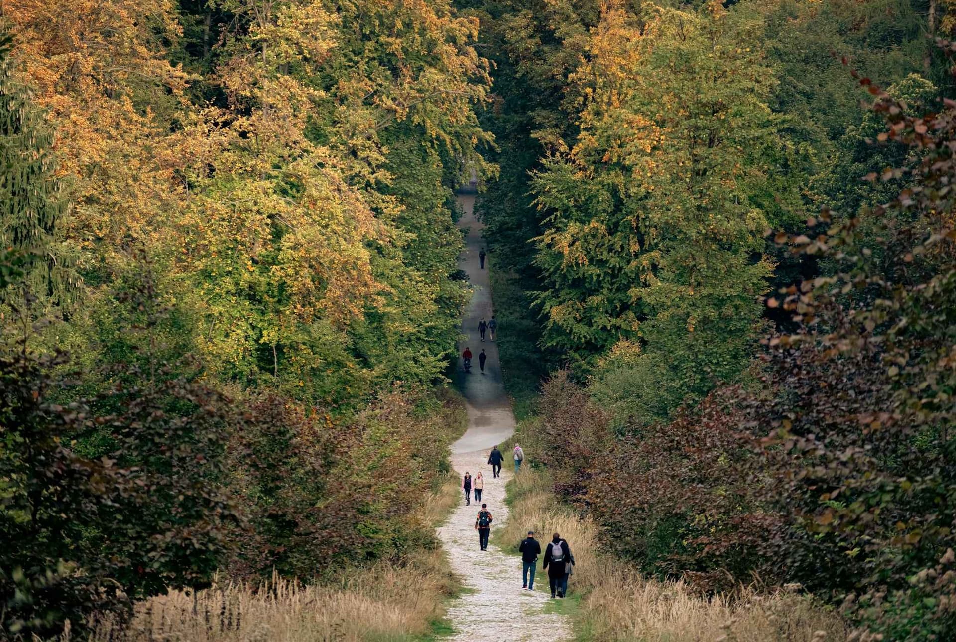 Picture for The Complete Guide to Hiking Germany article