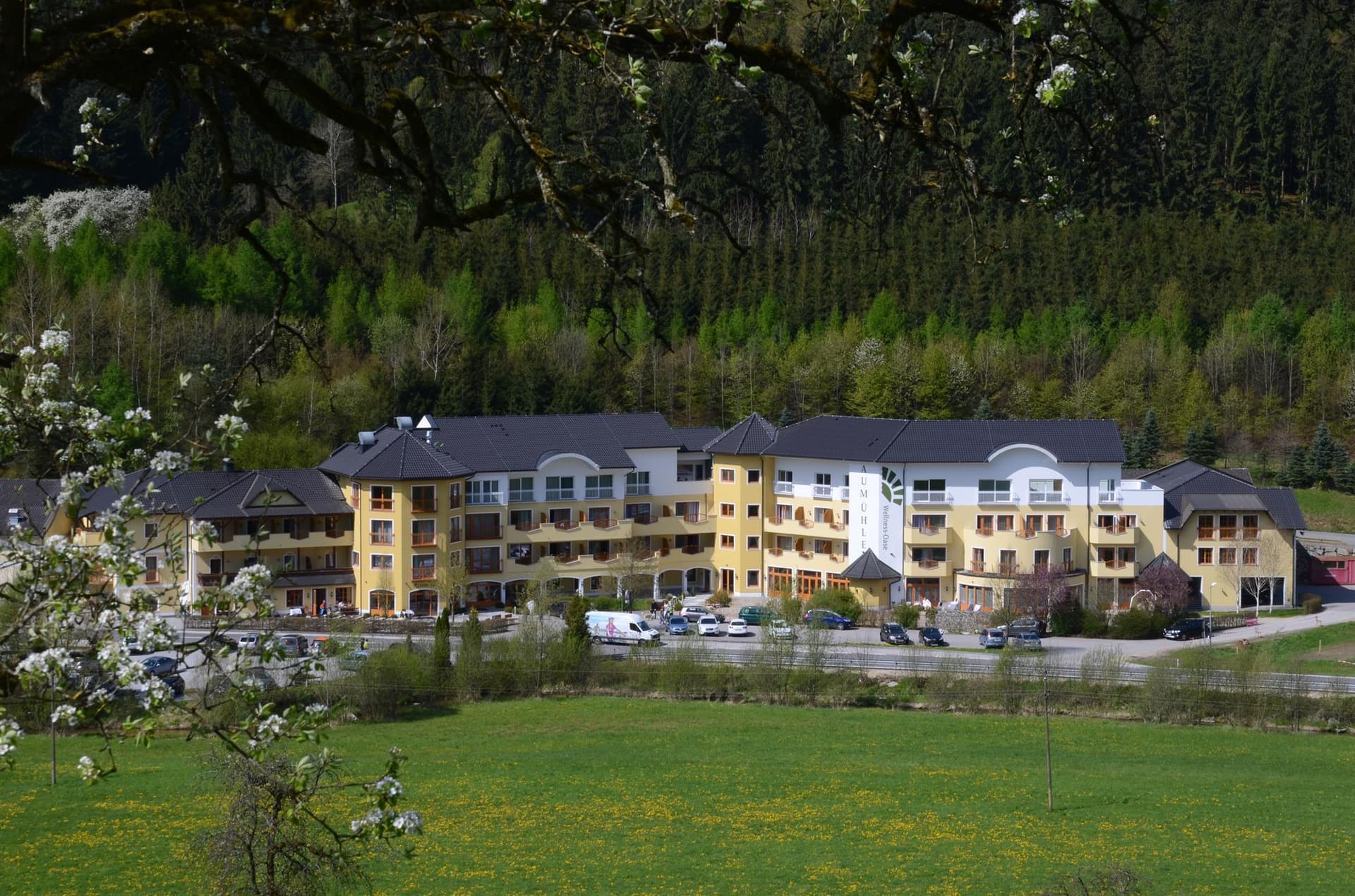 Hotel Aumühle (3-star)