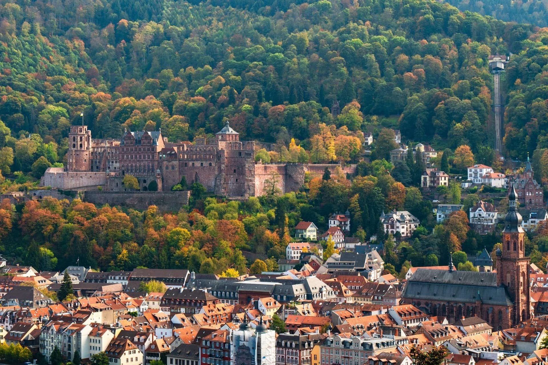 Heidelberg and Romantic Castle Views