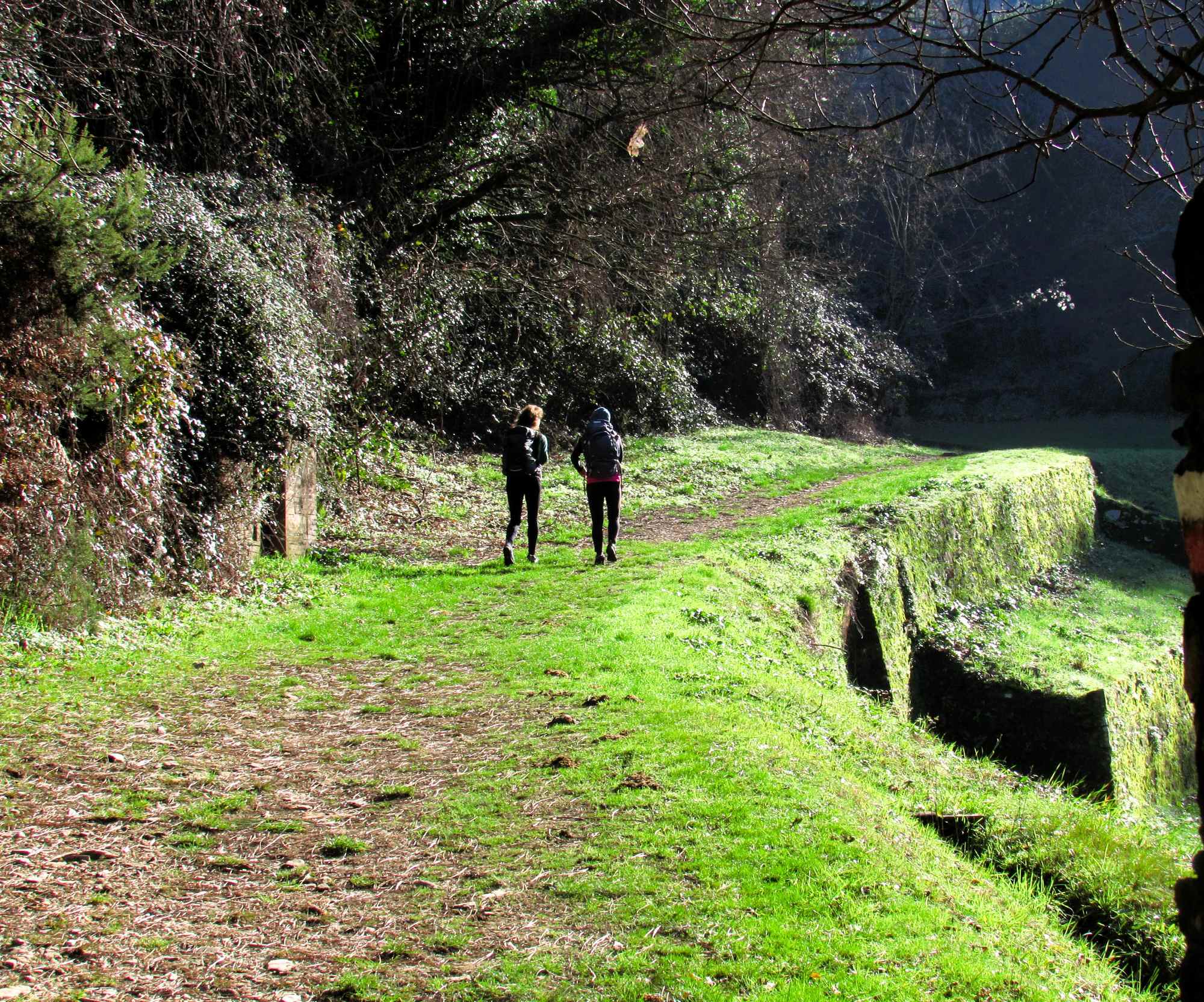 Monte Pisano Crossing