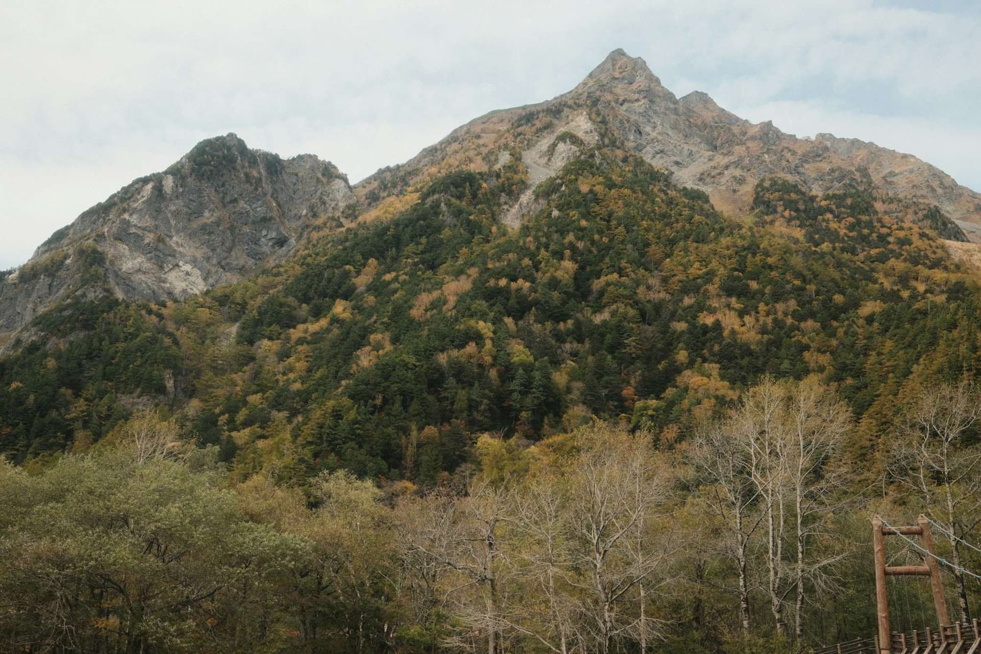 Mountain Trails and Big Views