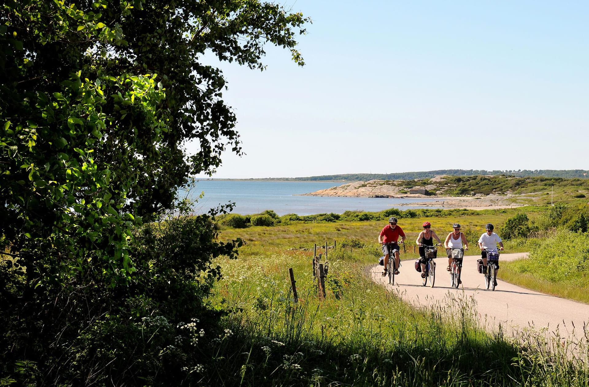 Boutique bike tours in Sweden
