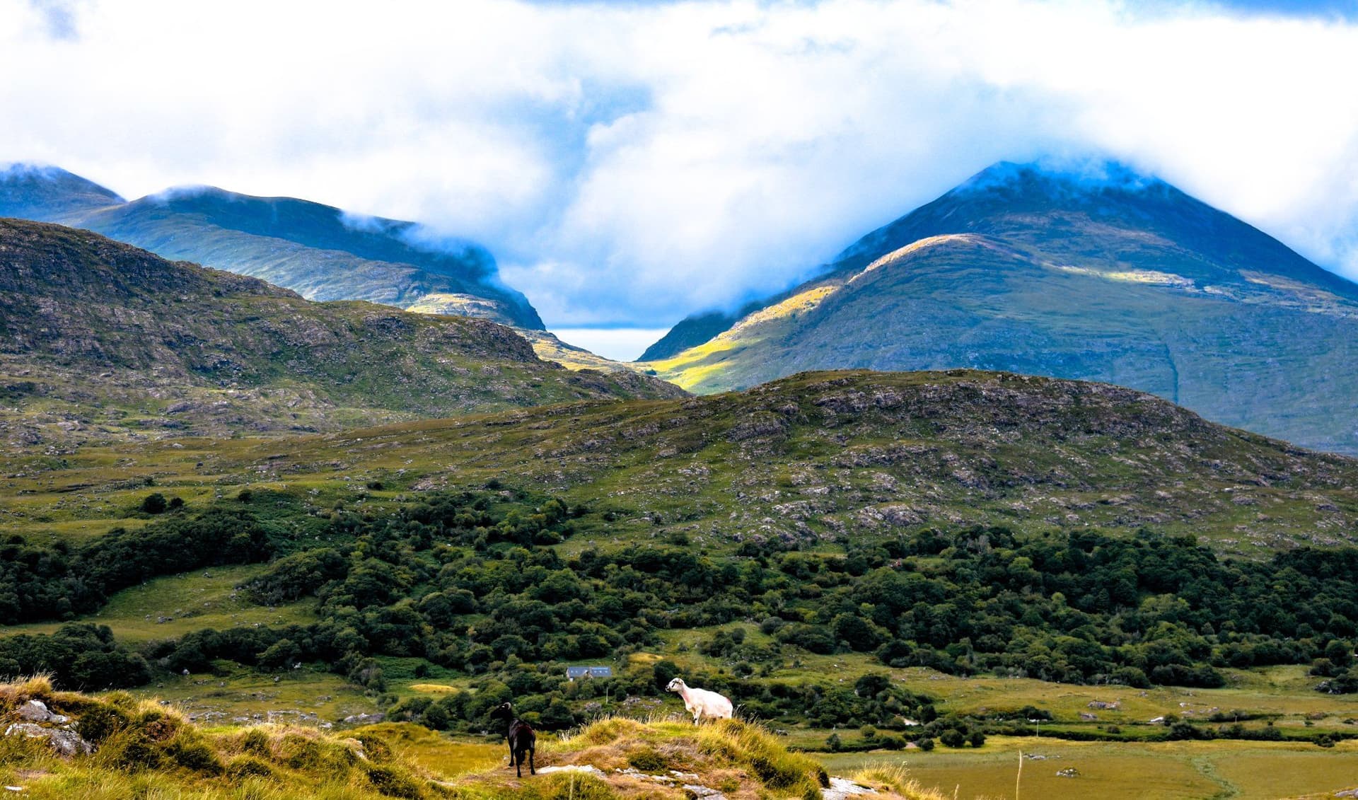 Ring of Kerry Bike Tour