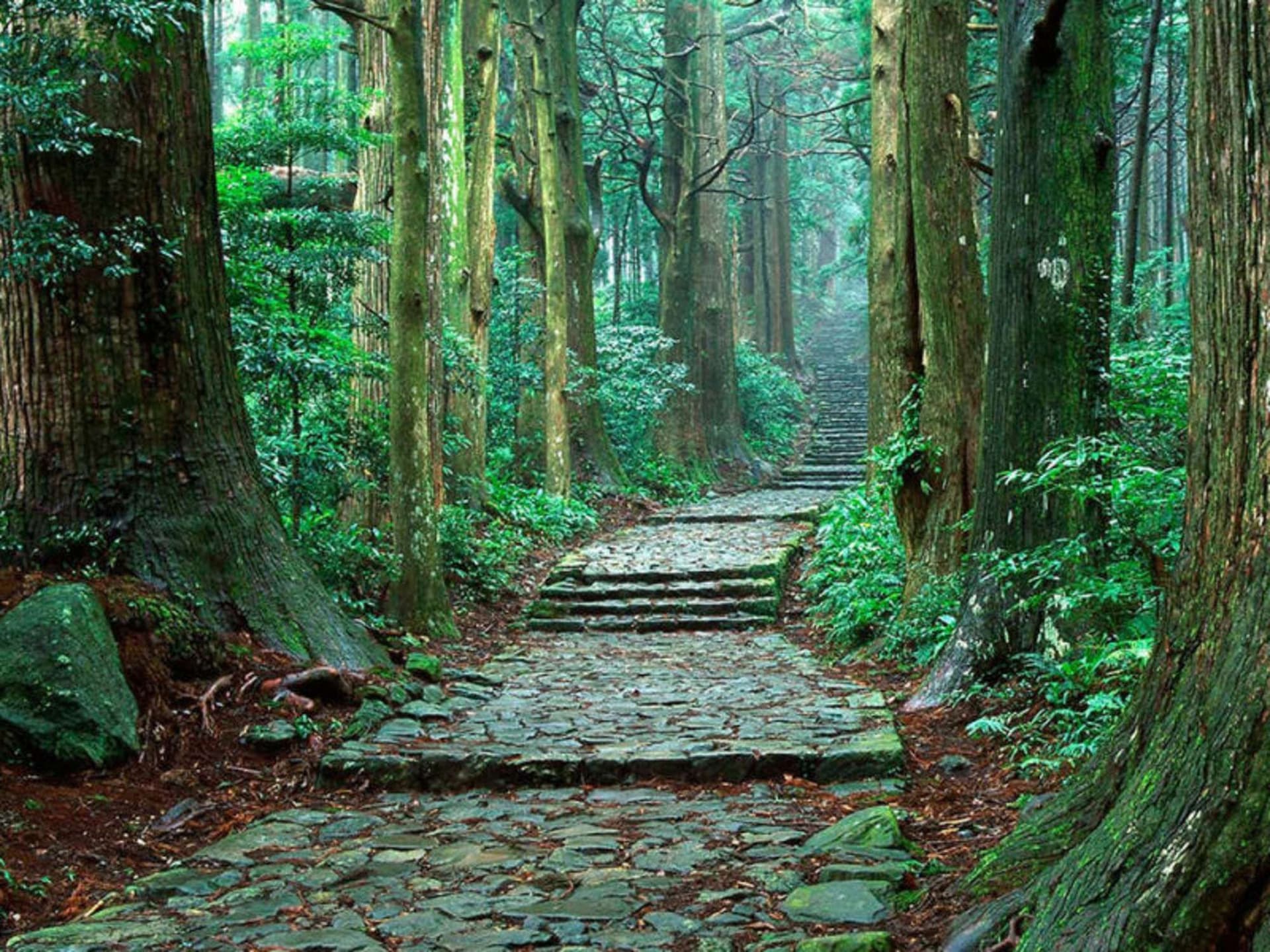 Ise to Kumano Kodo Pilgrimage Hiking Tour