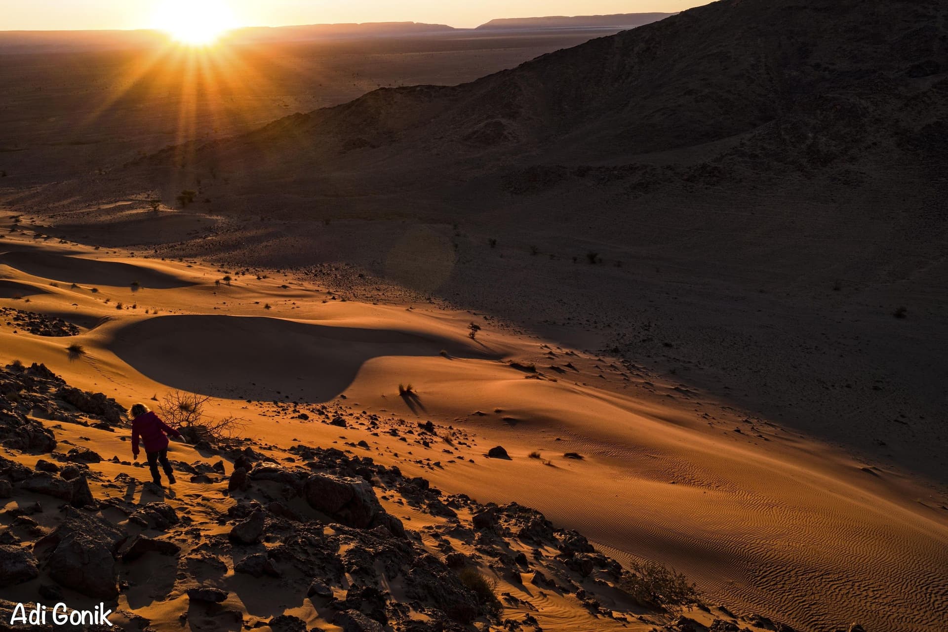 Sahara Desert
