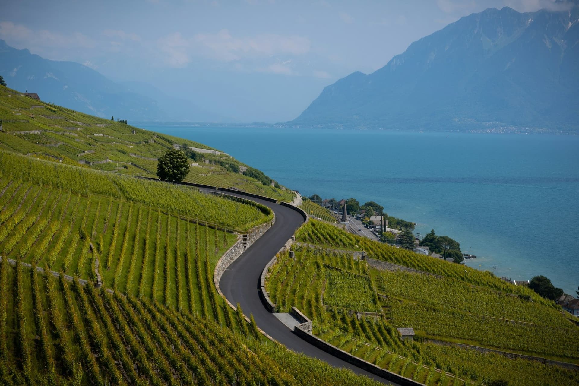 Picture for The Complete Guide to Cycling Switzerland article