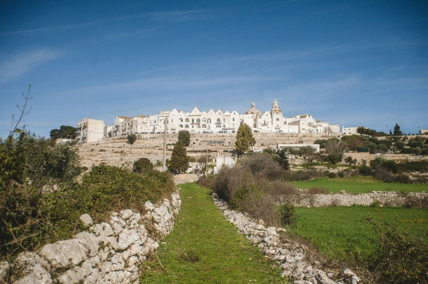 Cycle Through Valle d’Itria