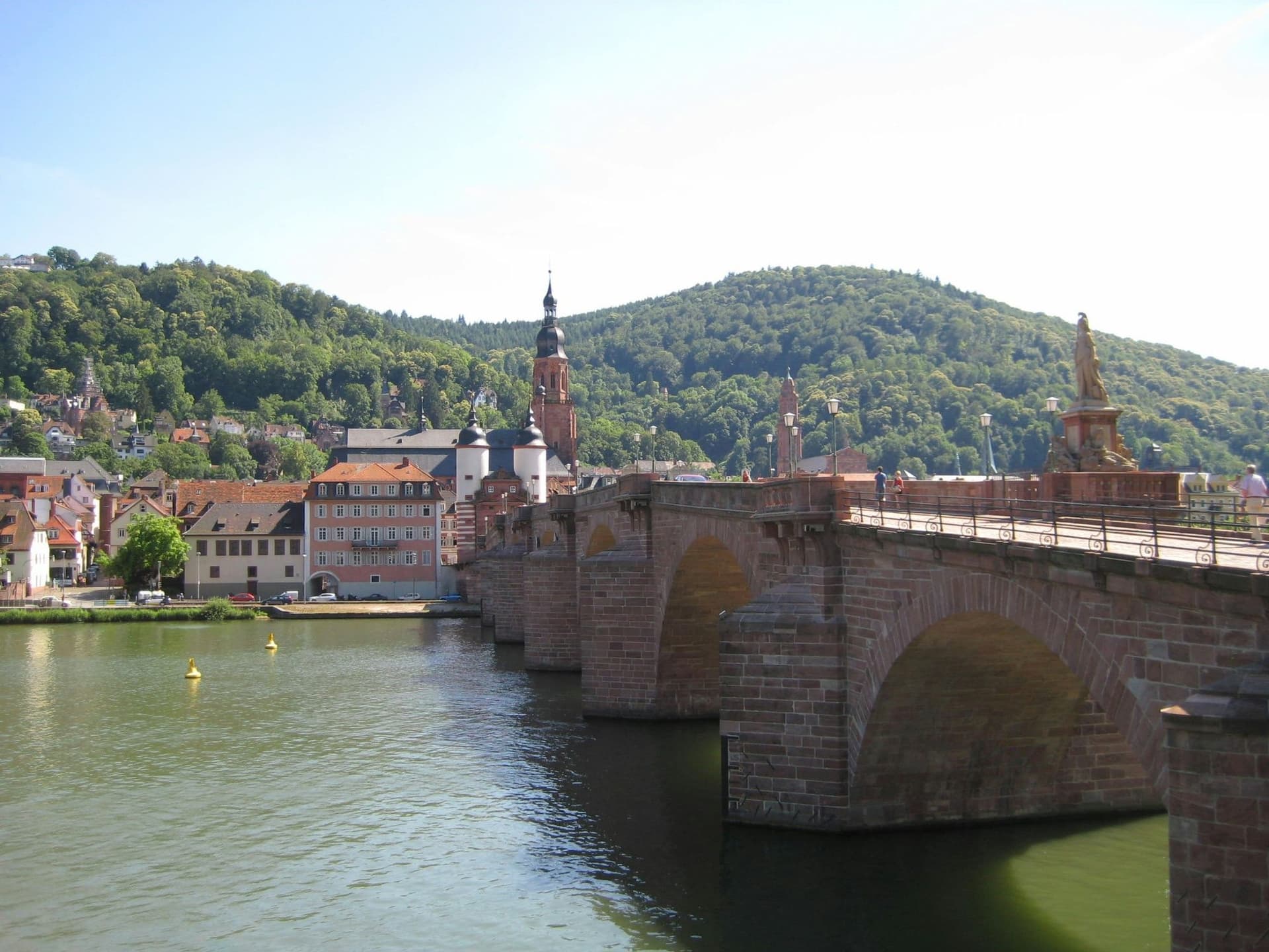 Rhine and Loreley Experience