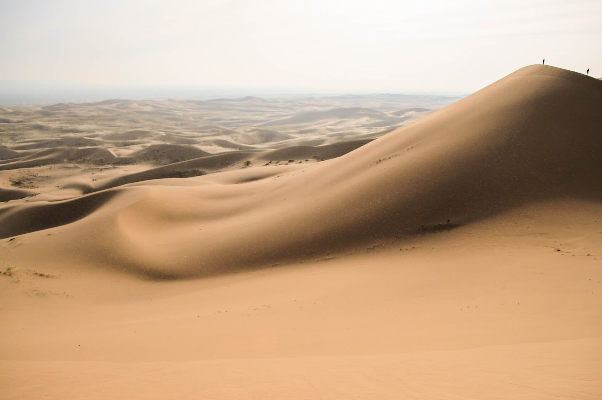 Landscape of the Gobi desert