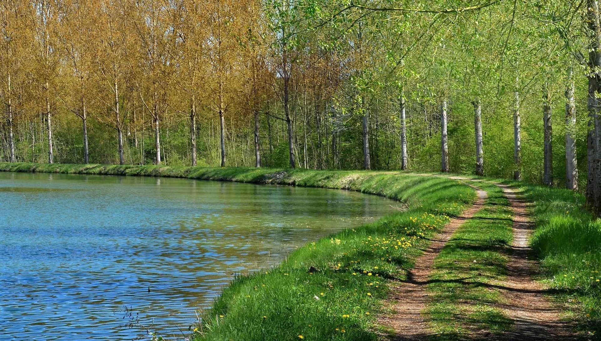Scenic Routes Along the Meuse and Vennbahn