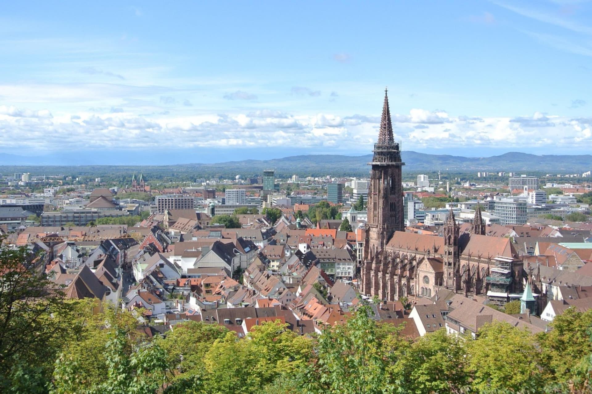 Münster Old Town