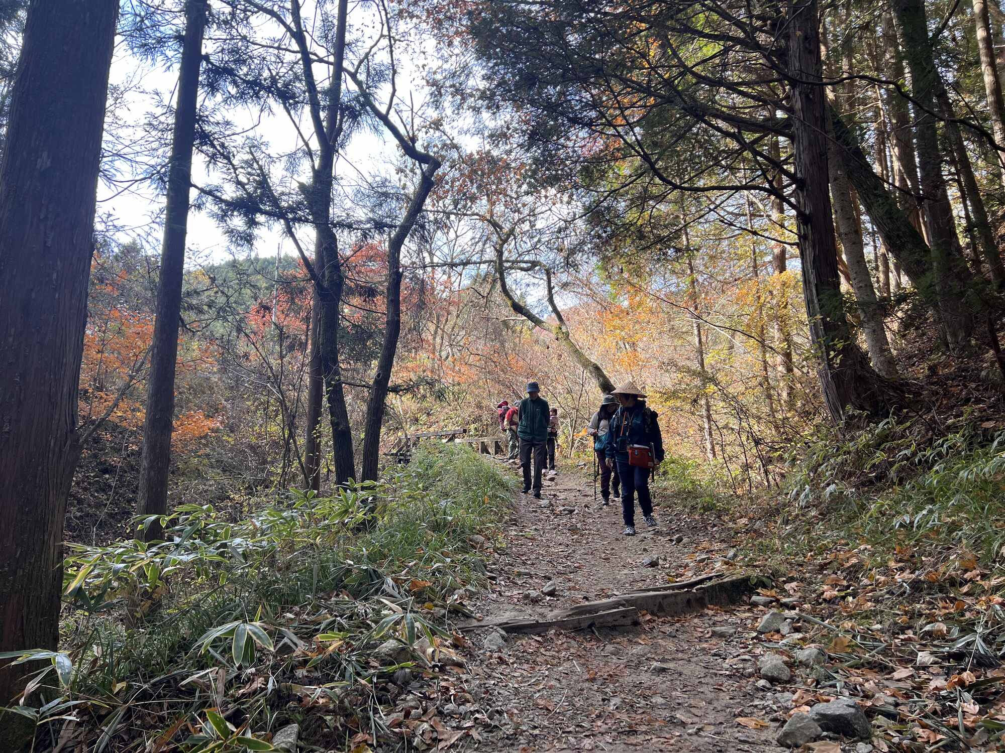 Historic Nakasendo Trail