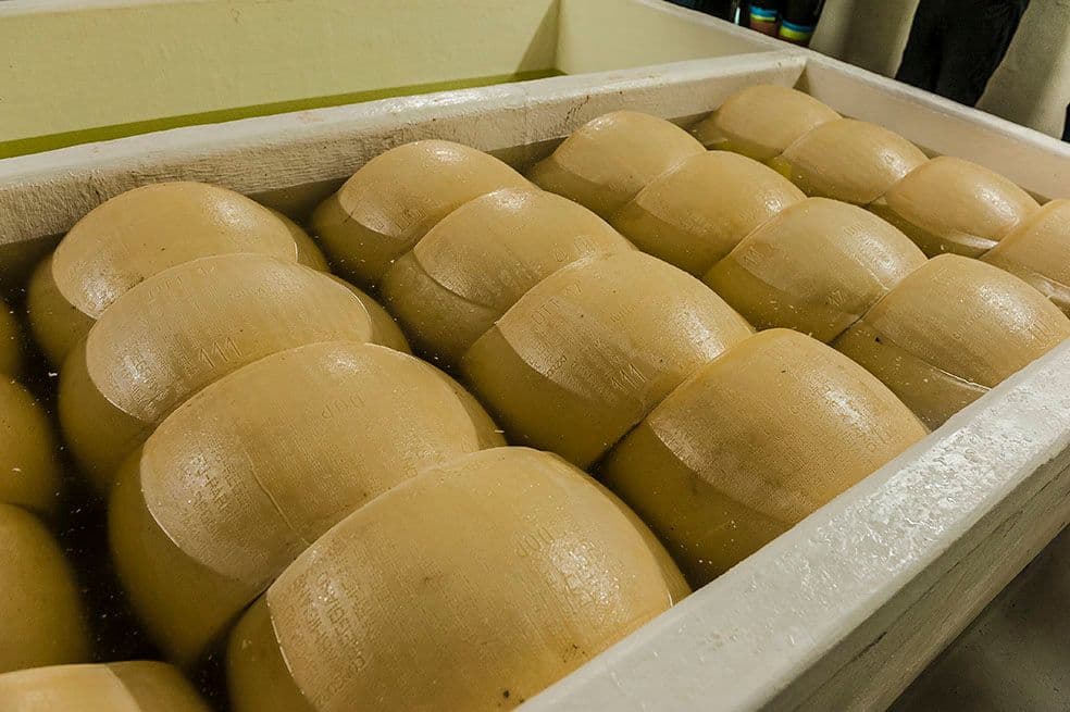 Artisan Food Producer Visits