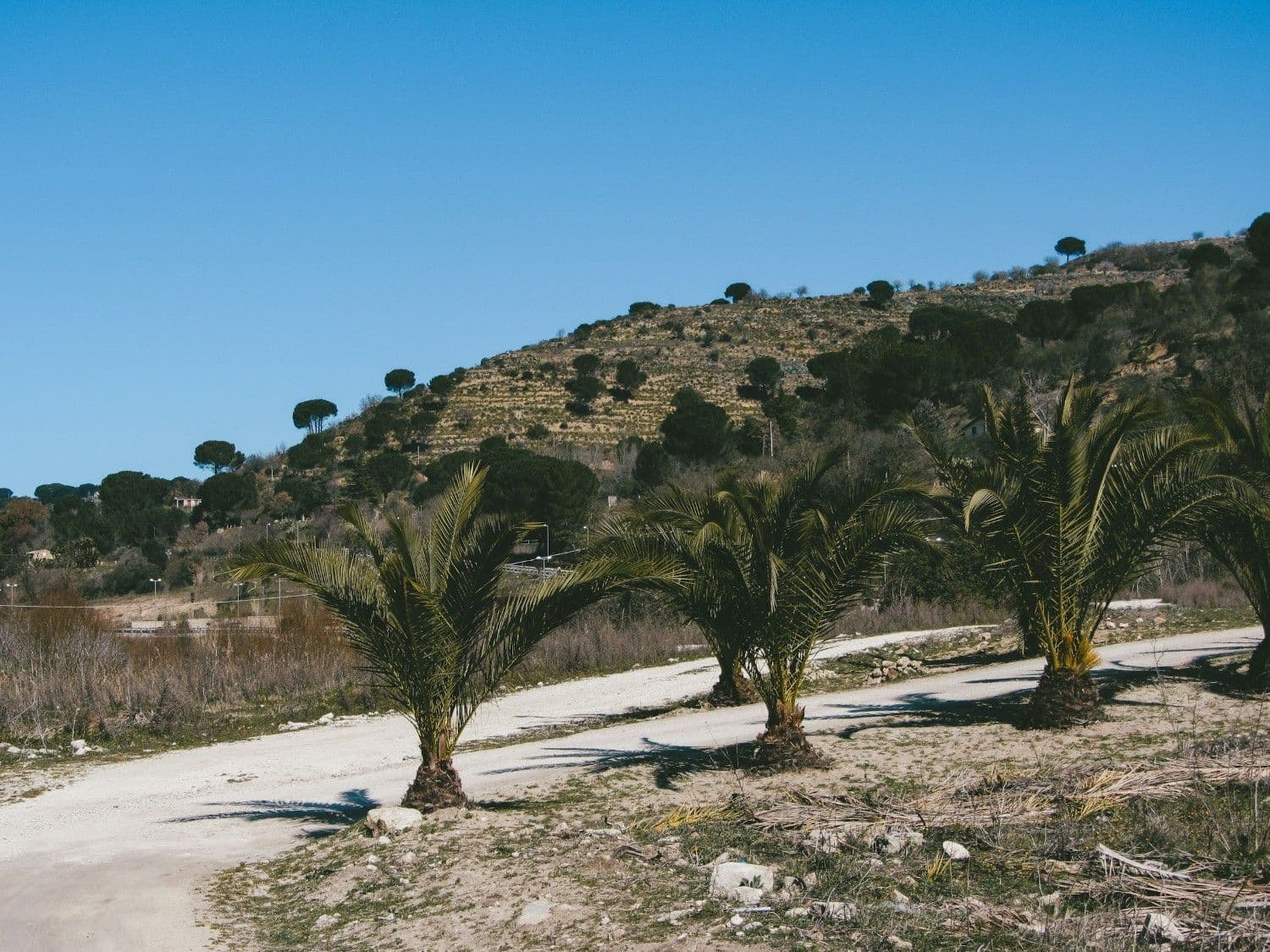 Itinerary Image