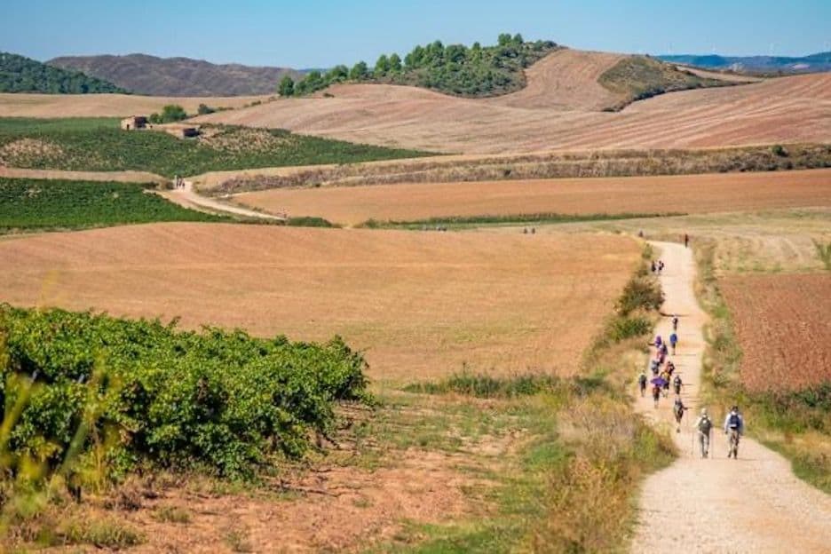 Picture for The Complete Guide to Hiking the Camino de Santiago  article