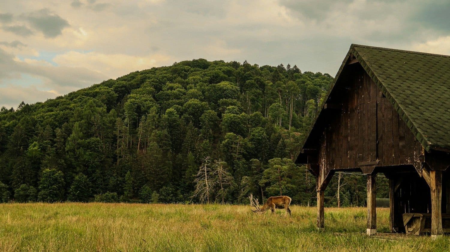 Boutique hiking & walking tours in Romania