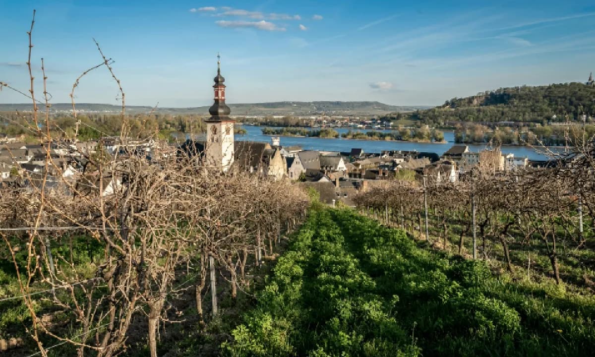 Historic Rhine Cities