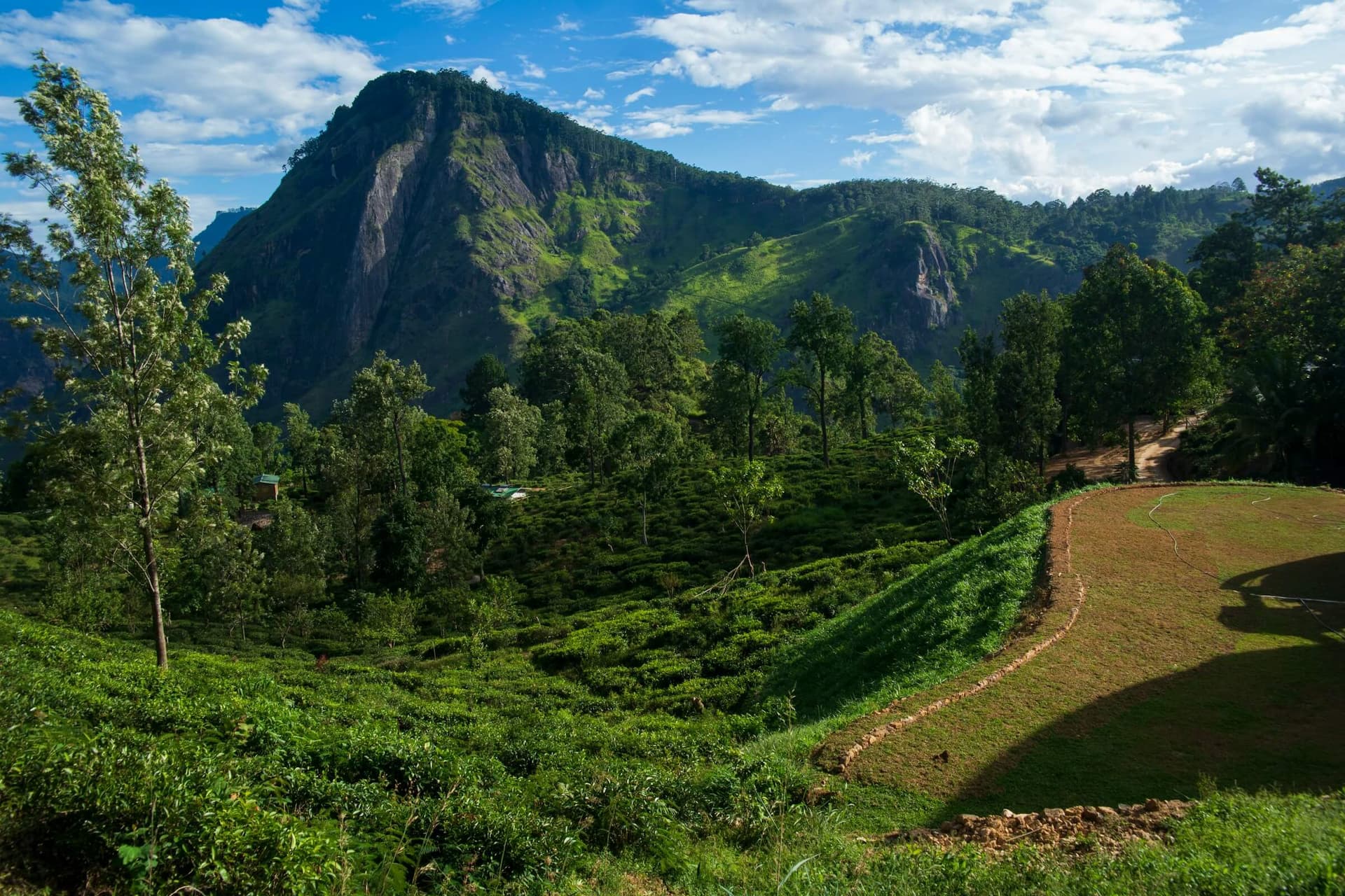 Sri Lanka's Pekoe Trail Hiking and Walking Tour
