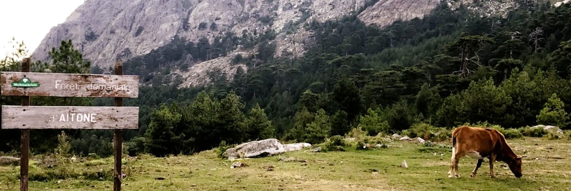 Itinerary Image