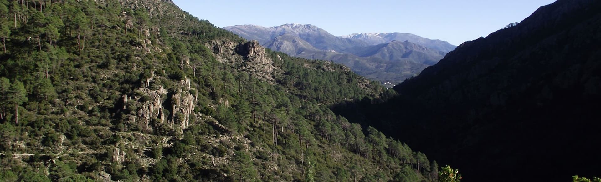 Mountain and Coastal Diversity