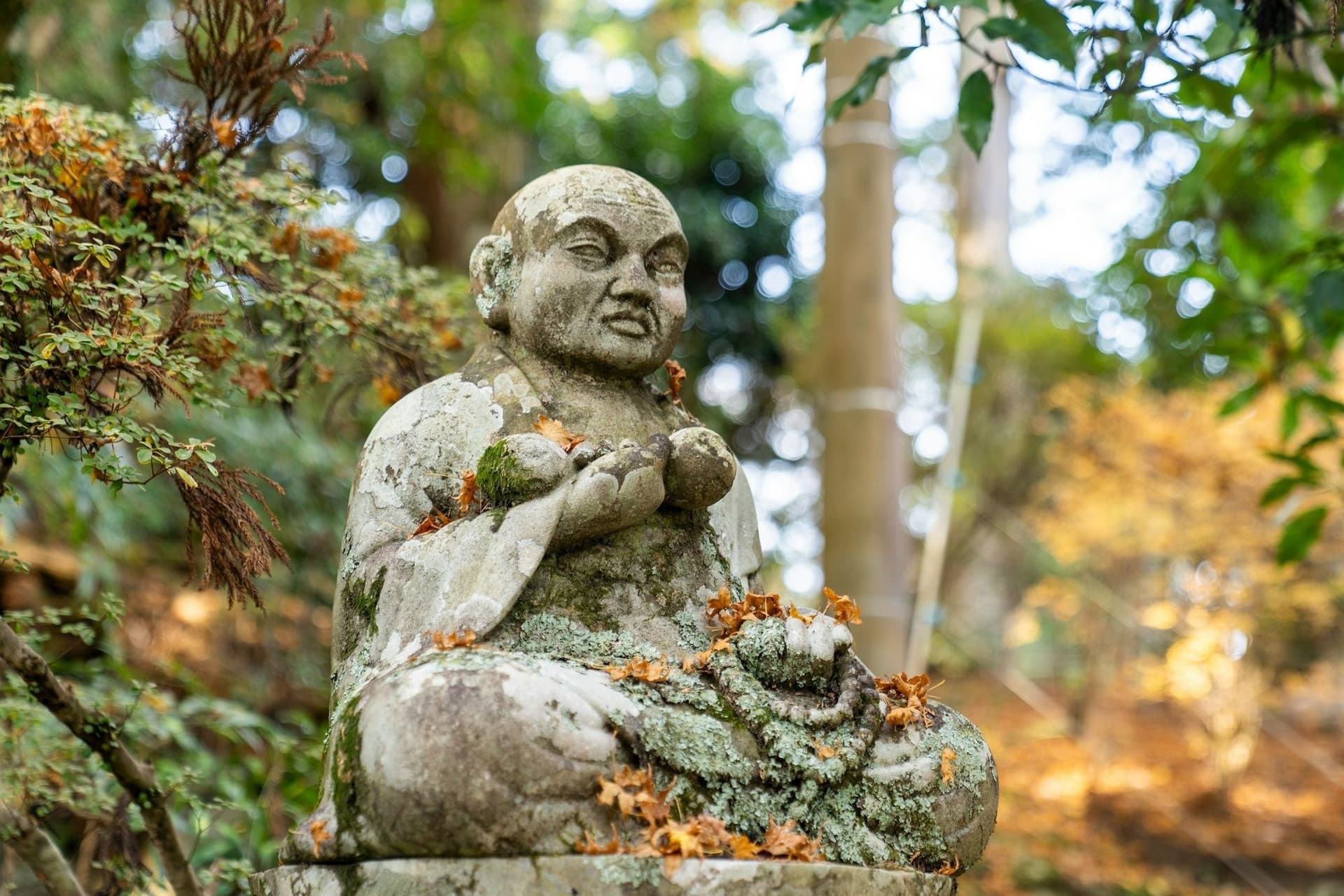 Highlights of Shikoku Pilgrimage Trail Hiking and Walking Tour