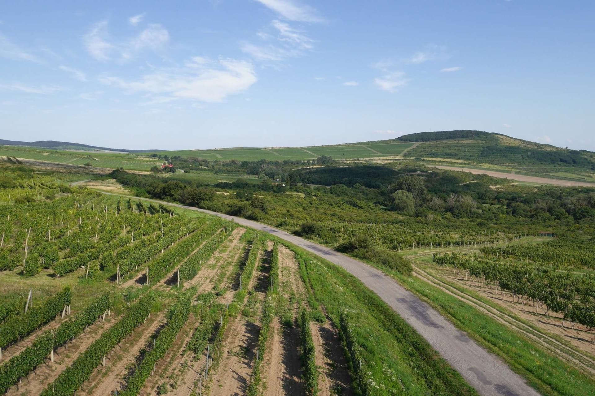 From Mountain Views to Wine Country