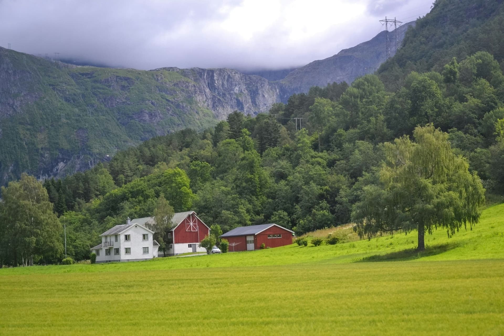 Norway Epic Mjølkevegen and Rallarvegen Gravel Bike Tour