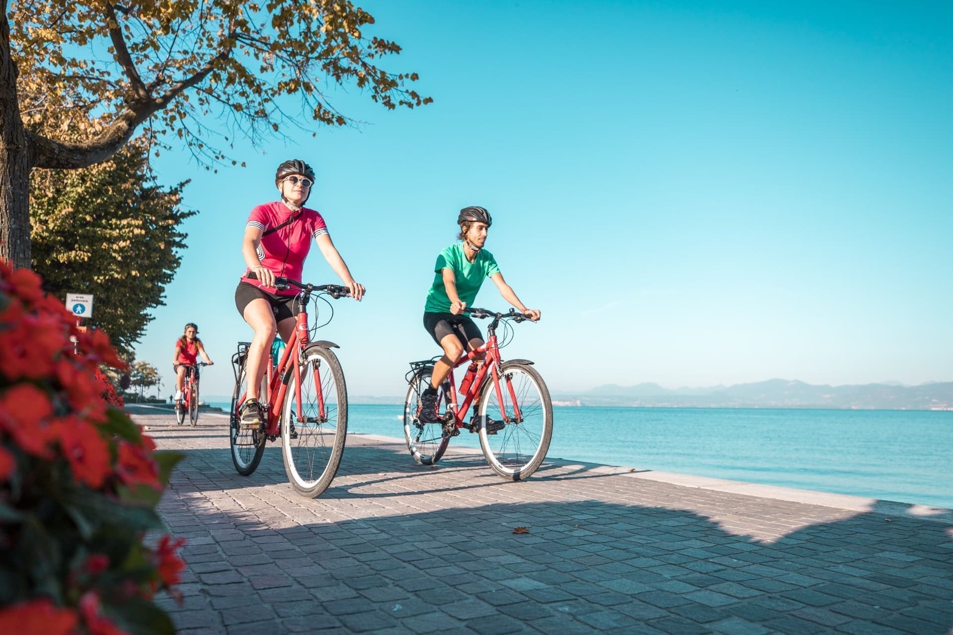 Alps To Lake Garda Verona Bike Tour