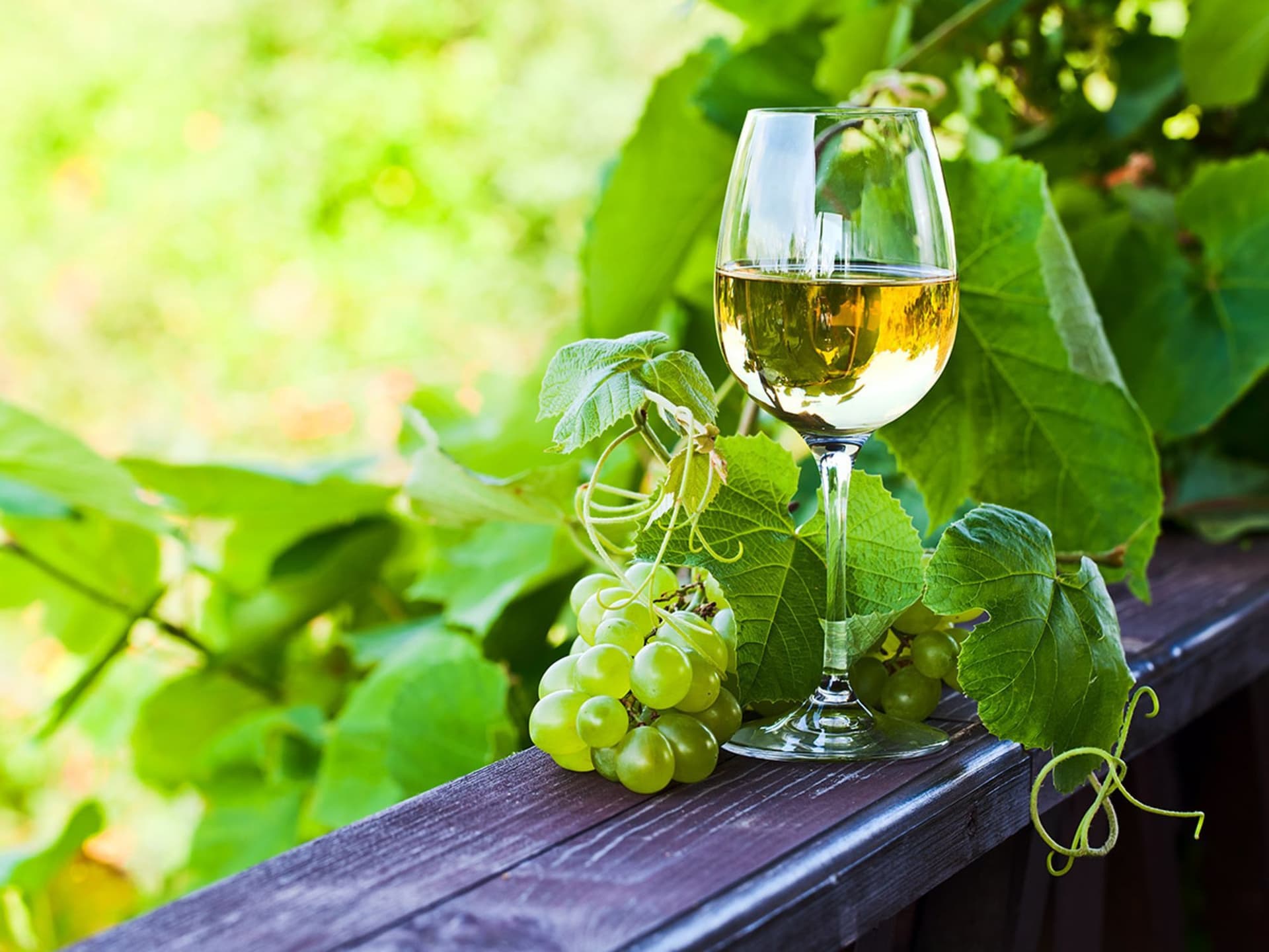 Vinho Verde Wine Region